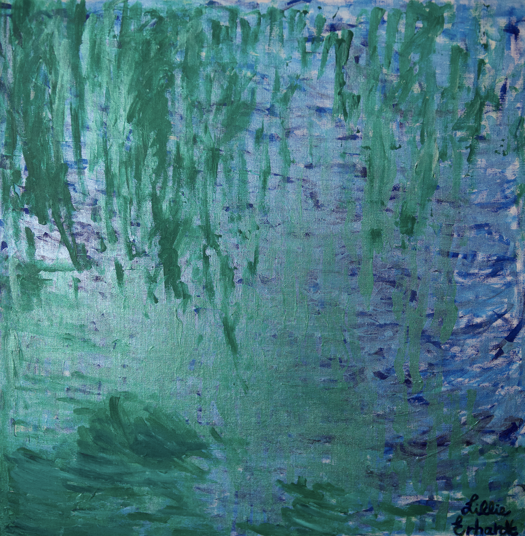 Willow tree by the pond